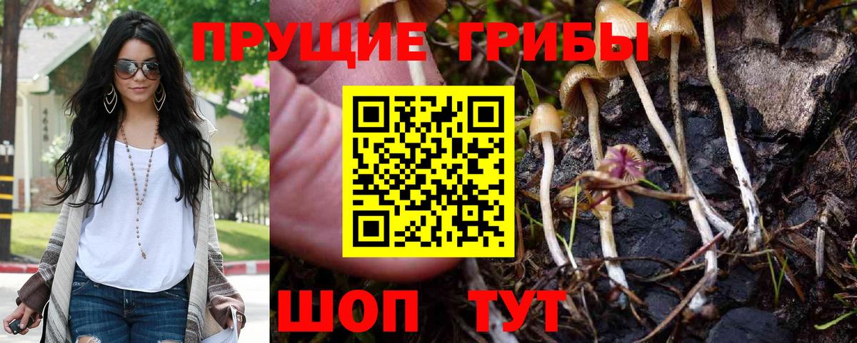 Нижневартовск  Галлюциногенные грибы мицелий  Вход с VPN 