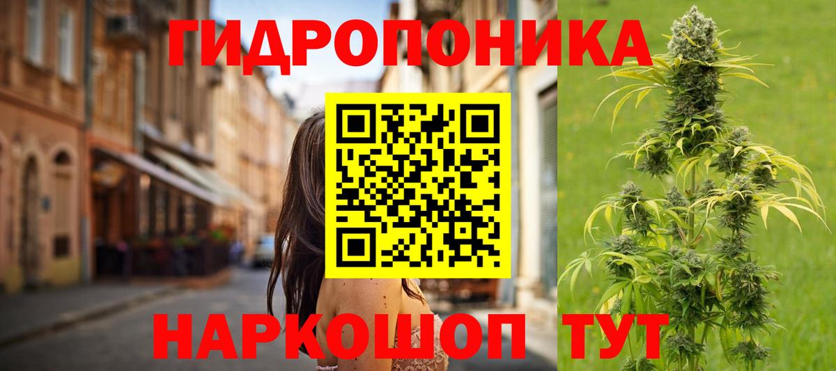 Марихуана сатива Нижневартовск